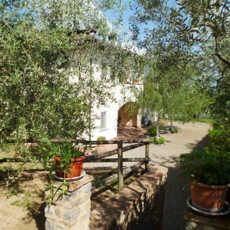 Hostal Casa Le Betulle Montespertoli Exterior foto
